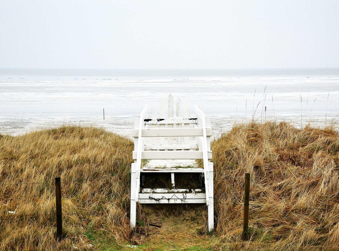 Exploring 'Yugenmanga': Where Fans Read Online