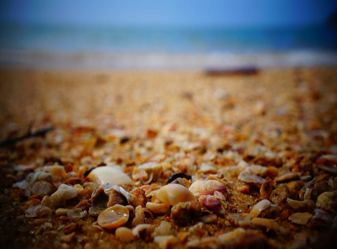 صور طيز