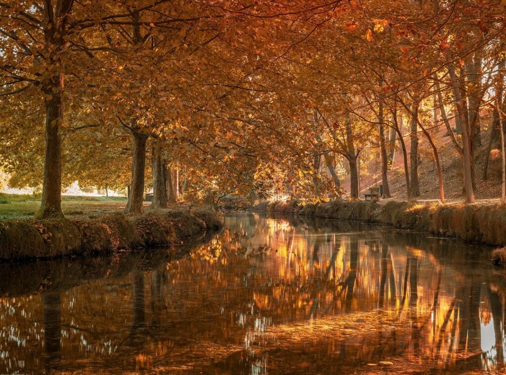 galee galee fondo de pantalla