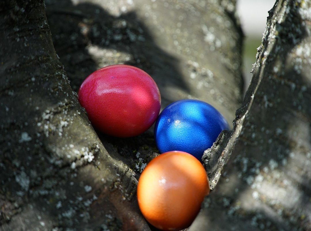 The Hidden Dangers of Searching for Leaked Content