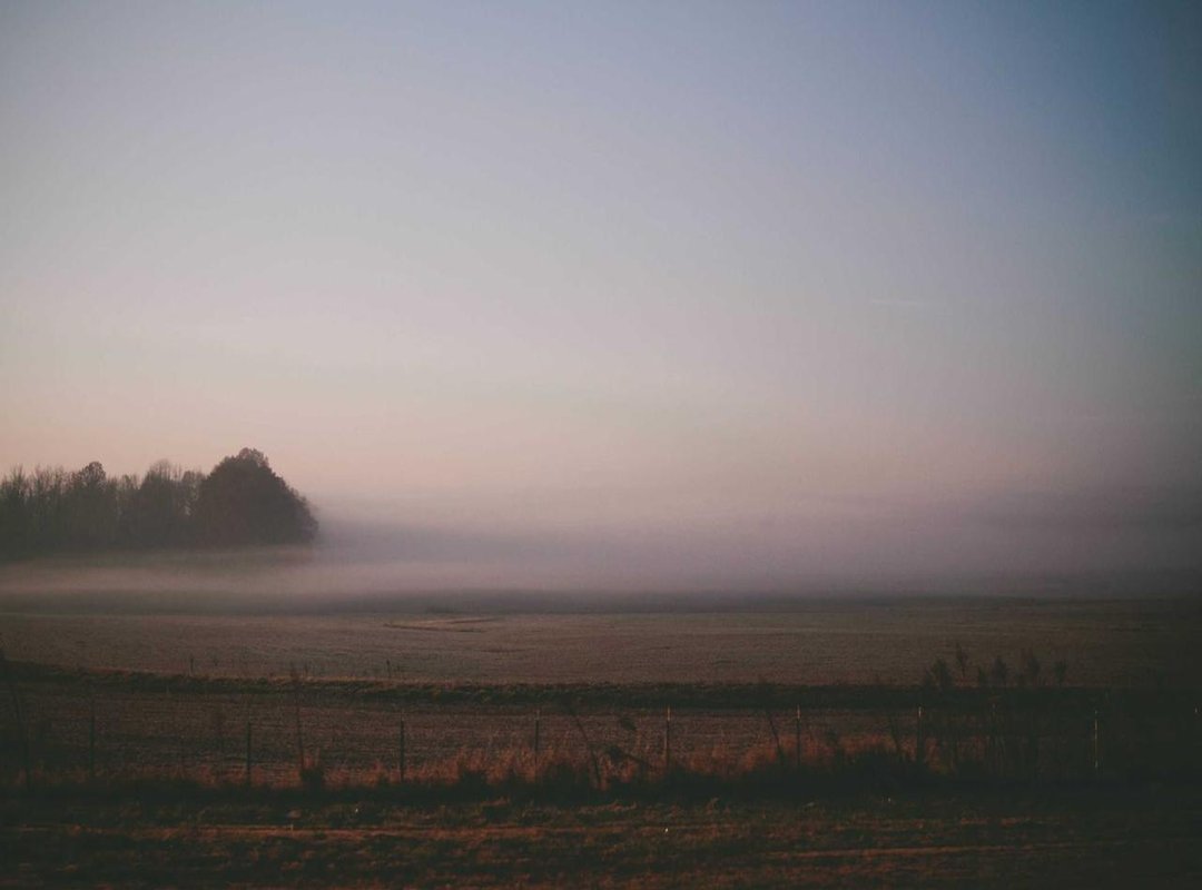 Pre-Recorded Videos vs. Live Cams: Choosing Your Format